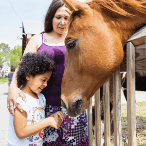A mother & daughter pet a horse at Bluebird Gap Farm