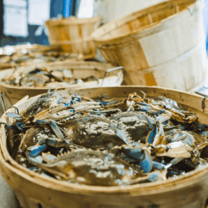 basket of blue crabs