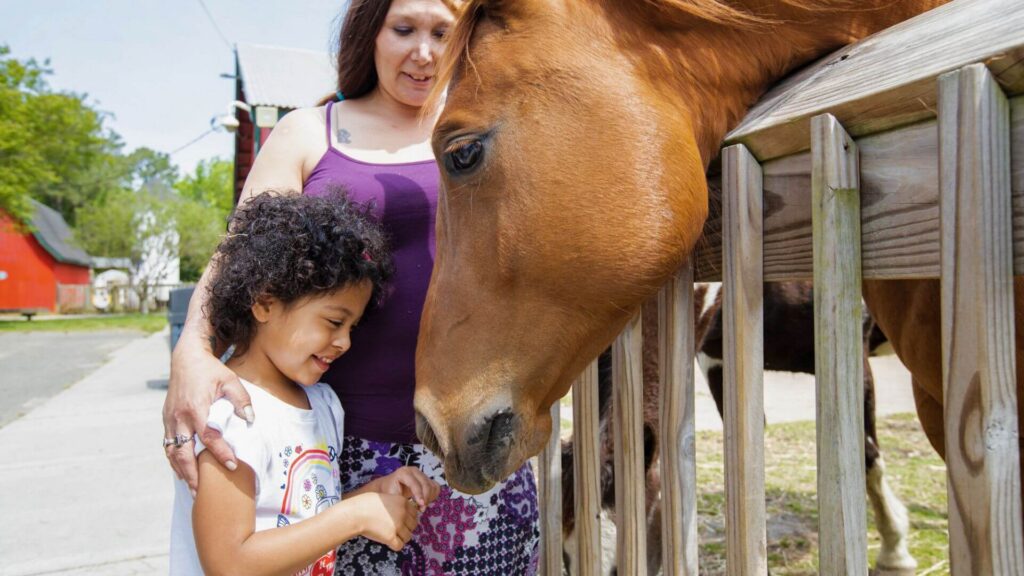 Young girl shyly smiles while petting a brown horse through a wooden fence on a sunny day while her mom encourages her.