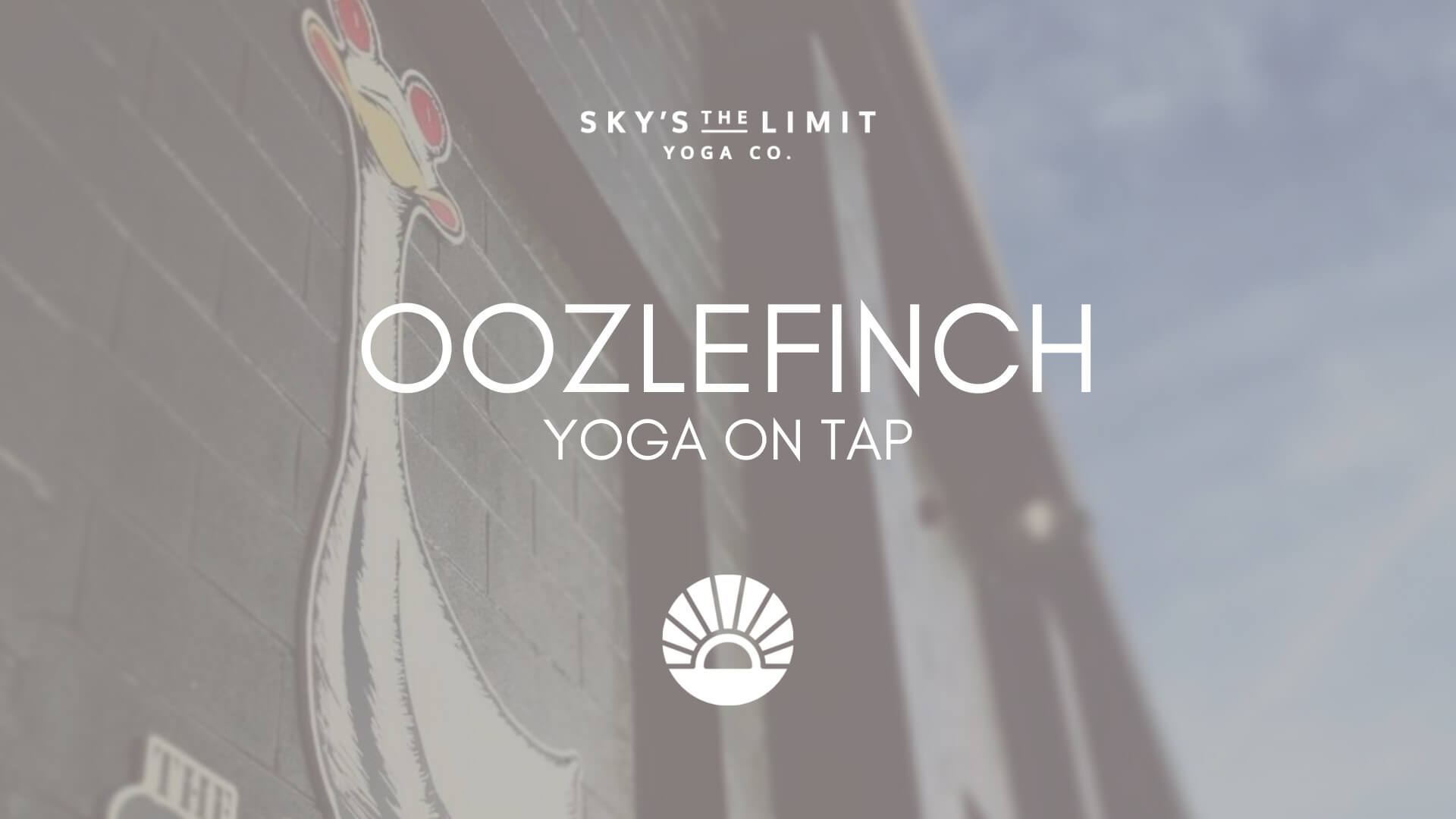 Sky's the Limit Yoga Co. Ooozlefinch Yoga on Tap